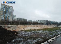 Центр киберспорта может появиться на месте снесенного катка «Северное сияние» в Воронеже
