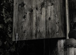 Отец с сыном напали на беспомощного пенсионера и украли у него деньги в Воронежской области 