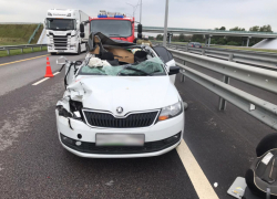 Появились фото с места смертельного ДТП с фурой на М-4 «Дон»