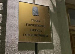 Умерла сотрудница мэрии Воронежа, отмеченная орденом «За заслуги перед Отечеством»