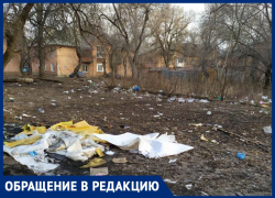 Двор-помойка с крысами держит воронежцев в заложниках 