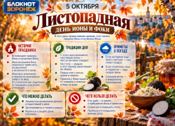 Поздний снег или ранняя зима: приметы Листопадной для воронежцев