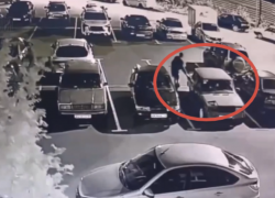 Ночные сосальщики попали на видео в воронежском микрорайоне 