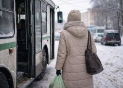 Почему поездка на автобусе поставила воронежанку на грань банкротства