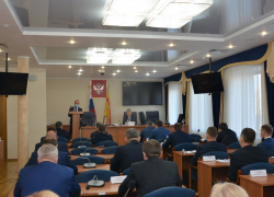 Упругий трахелиум срочно нужен депутатам гордумы в Воронеже