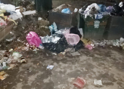 Мусорный коллапс на Димитрова - что говорит регоператор