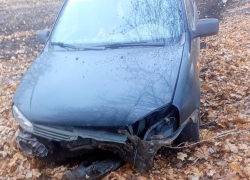 Пенсионерка пострадала в вылетевшей с дороги легковушке в Воронежской области