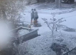 Нападение неизвестного мужчины на девушку средь бела дня попало на видео в Воронеже 