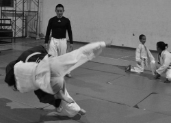 В Воронеж приедет Федор Емельяненко