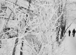 Сколько продлятся адские морозы в Воронеже, показал прогноз гидрометцентра