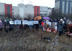 В Воронеже потребовали от власти оставить яблоневый сад в покое