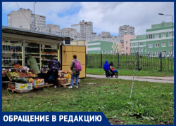 Рой киосков «окружил» школу в Воронеже 