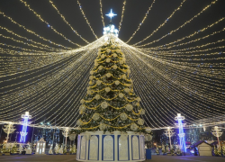 Новый год по инструкции: как будут работать главные праздничные площадки Воронежа