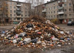 Мусорный «Монблан» устроила управляшка в воронежском дворе