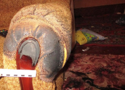 Ревнивый муж поджег жену на диване в воронежском хуторе 