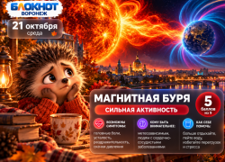 Метеозависимые, готовьтесь:  магнитная буря грядёт в Воронеж
