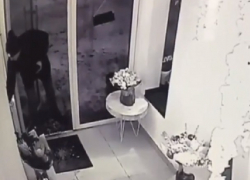 На видео сняли, как парень четко обокрал элитный салон цветов в Воронеже