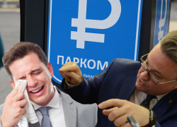 5 стадий горя платных парковок в Воронеже