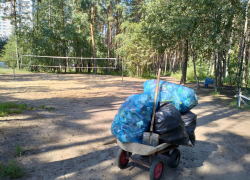 «Северный лес никому не нужен»: воронежец недоволен, что чиновники отказываются от леса