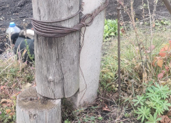 Две недели ждала ответа от «Россетей» жительница Воронежской области — в итоге она оказалась права