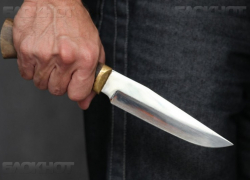 Рецидивист зарезал пасынка в воронежском селе
