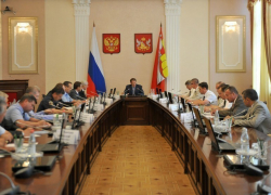 Губернатор Воронежской области из-за африканской чумы приказал продолжить отстрел диких кабанов