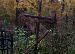 Под секретом остаются официальные данные о численности населения Воронежской области 