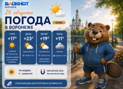 Прохладные вечера: прогноз погоды в Воронеже	