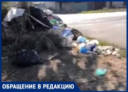 Чьё свинство: в беспорядке по пути на Балтимор воронежец обвинил мэрию, а мэрия воронежцев 