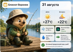 Какой будет погода в последний день уходящего лета в Воронеже?