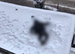 Труп мужчины нашли на козырьке многоэтажки в Воронеже 