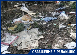 Пессимистично выглядящий парк Оптимистов отпугнул воронежцев
