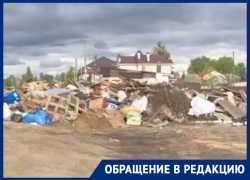 Свалка рядом с братской могилой оскорбила чувства воронежцев 