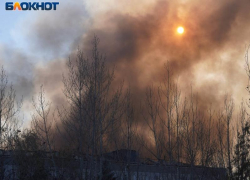 Взрывоопасные предметы начали детонировать после падения БПЛА в Воронежской области