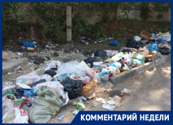 Привычка воронежцев превратила будущий тротуар в рай для крыс