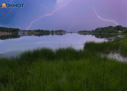 Весенний паводок полностью закрыл экотропу в Воронежском заповеднике