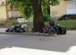 У воронежских чиновников прошла мусорная «лихорадка»