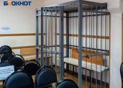 За разорение воронежских семей лже-кредитор отправится в тюрьму на 13 лет