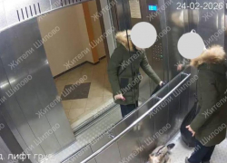 Пушистый засранец привел в гнев жителя воронежского Шилово