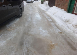 Фекальный каток подарил воронежцам февраль 