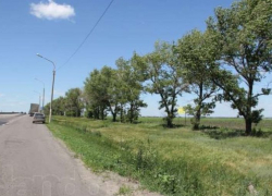 Под Воронежем водитель «Мерседеса» погиб, когда машина  на высокой скорости улетела в кювет