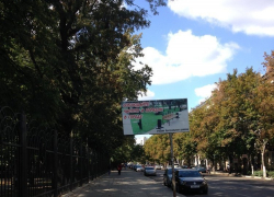 В Воронеже чиновники призывают горожан к чистоте с рекламного щита - страшилища