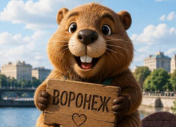 Как не замерзнуть, не промокнуть и не сгореть за три дня в Воронеже 