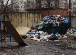 В Воронеже очередной мусорный апокалипсис возник около детской площадки