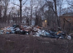 Лютую помойку у военного мемориала в Воронеже записали на видео