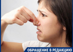 Пытка вонью лишила воронежцев нормальной жизни