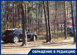 Автомобилисты превратили воронежский парк в парковку