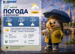 То дождь, то солнце, то гроза: прогноз погоды в Воронеже