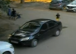 Опубликовано видео нападения собаки на ребенка в Воронеже
