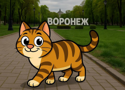 Летняя увертюра: погода в Воронеже снова шалит 